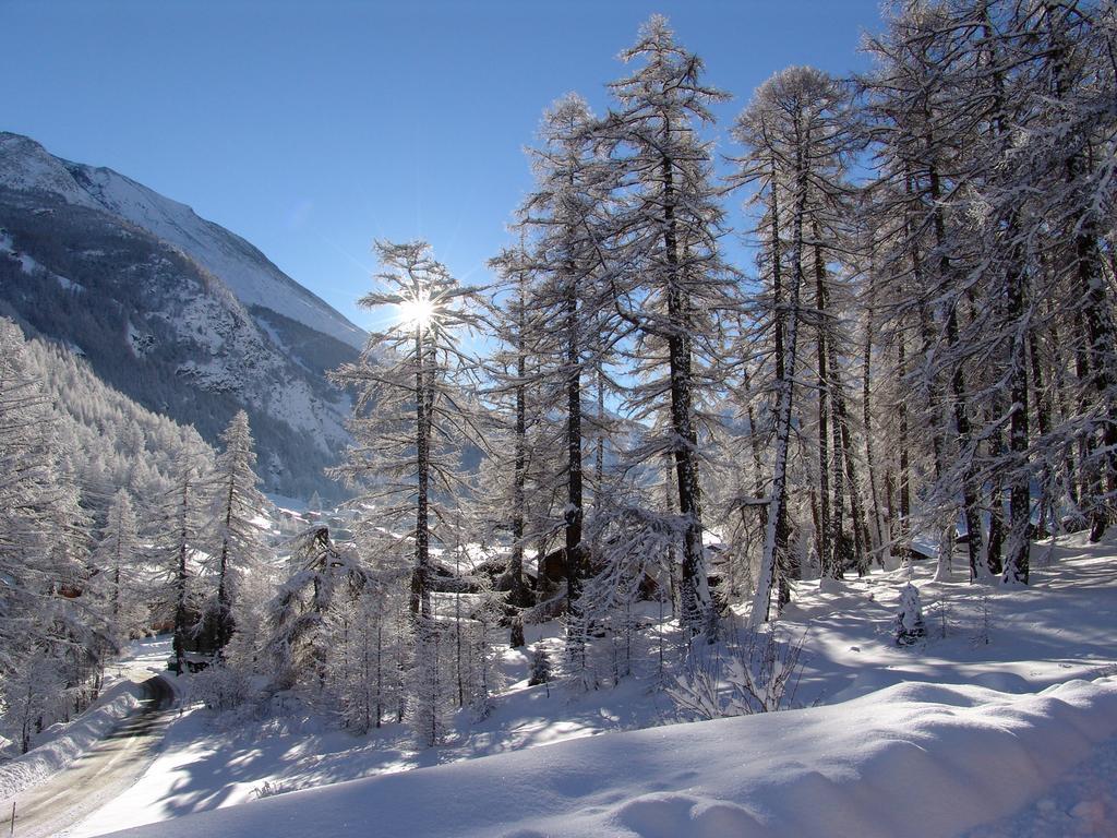 Haus Erle Saas-Grund